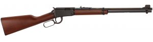 Using a 22 for hunting
