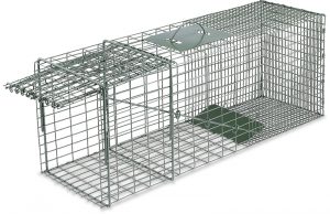 Cage traps