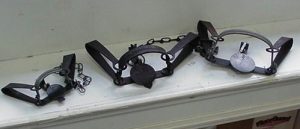 Leg-Hold Trap