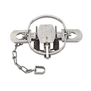 Duke 0491 Number 2 Coil Spring