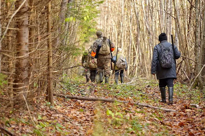 How to Find Good Public Hunting Land